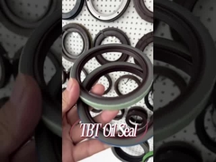 OEM 12011821B FKMのスコーネ地方のトラック80x100x12mmのためのゴム製 クランク軸 オイル シール